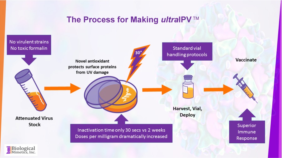 BMI Process feb 2020sm